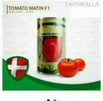 بذر گوجه فرنگی دانمارک
